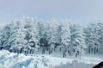 Plac, Zlatibor, prodaja, 1143m2, 50000e, id1411446