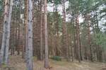 Plac, Zlatibor, prodaja, 1143m2, 50000e, id1411446