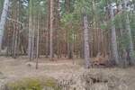 Plac, Zlatibor, prodaja, 1143m2, 50000e, id1411446