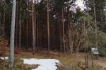 Plac, Zlatibor, prodaja, 1143m2, 50000e, id1411446