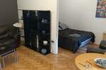 Jednosoban stan, Beograd, Studentski Trg, izdavanje, 35m2, 650e, id1411465