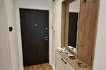 Dvosoban stan, Beograd, Bulevar Oslobođenja, izdavanje, 40m2, 700e, id1412019