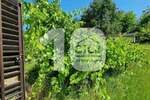Kuca, Beograd, Vrbovno, prodaja, 66m2, 48500e, id1257600
