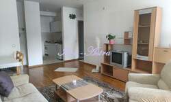 Dvosoban stan, Beograd, Bioskop Voždovac, izdavanje, 47m2, 500e, id1411542