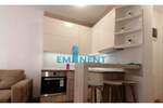 Dvosoban stan, Beograd, Lipov Lad, izdavanje, 35m2, 600e, id1412612