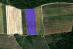 Plac, Niš, Komren, prodaja, 5608m2, 11000e, id1413778