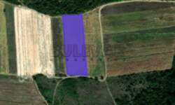 Plac, Niš, Komren, prodaja, 5608m2, 11000e, id1413778