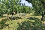 Plac, Beograd, Voždovac, prodaja, 1900m2, 95000e, id1413937