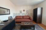 Jednosoban stan, Niš, Čair, izdavanje, 36m2, 350e, id1324509