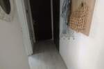 Jednoiposoban stan, Niš, Palilula, izdavanje, 30m2, 250e, id1414681