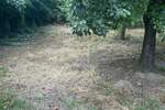 Kuca, Sombor, prodaja, 130m2, 65000e, id1414704