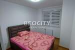 Dvosoban stan, Novi Sad, Grbavica, izdavanje, 47m2, 700e, id1414717