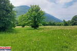 Plac, Boljevac, Mirovo, prodaja, 0m2, 111954e, id1389181