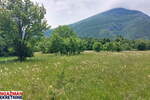 Plac, Boljevac, Mirovo, prodaja, 0m2, 111954e, id1389181