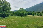 Plac, Boljevac, Mirovo, prodaja, 0m2, 111954e, id1389181