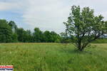 Plac, Boljevac, Mirovo, prodaja, 0m2, 111954e, id1389181