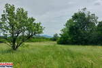 Plac, Boljevac, Mirovo, prodaja, 0m2, 111954e, id1389181