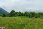 Plac, Boljevac, Mirovo, prodaja, 0m2, 111954e, id1389181
