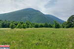 Plac, Boljevac, Mirovo, prodaja, 0m2, 111954e, id1389181