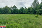 Plac, Boljevac, Mirovo, prodaja, 0m2, 111954e, id1389181