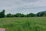 Plac, Boljevac, Mirovo, prodaja, 0m2, 111954e, id1389181