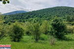 Plac, Boljevac, Mirovo, prodaja, 0m2, 9900e, id1389767