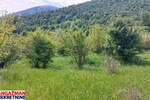 Plac, Boljevac, Mirovo, prodaja, 0m2, 9900e, id1389767