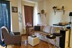 Jednosoban stan, Beograd, Južni Bulevar, izdavanje, 29m2, 400e, id1414742