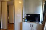 Jednosoban stan, Beograd, Južni Bulevar, izdavanje, 29m2, 400e, id1414742