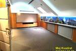 Poslovni prostor / Lokal, Beograd, Politika, izdavanje, 310m2, 3300e, id1415272