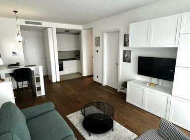 Dvosoban stan, Beograd, Dorćol, izdavanje, 50m2, 1200e, id1415281