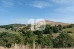 Plac, Zlatibor, Gajevi, prodaja, 0m2, 154000e, id1415387