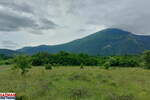 Plac, Boljevac, Mirovo, prodaja, 0m2, 31000e, id1390080