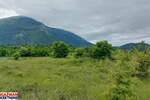 Plac, Boljevac, Mirovo, prodaja, 0m2, 31000e, id1390080