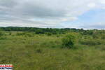 Plac, Boljevac, Mirovo, prodaja, 0m2, 31000e, id1390080