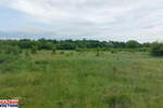 Plac, Boljevac, Mirovo, prodaja, 0m2, 31000e, id1390080