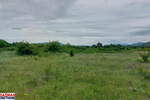 Plac, Boljevac, Mirovo, prodaja, 0m2, 31000e, id1390080