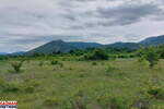 Plac, Boljevac, Mirovo, prodaja, 0m2, 31000e, id1390080