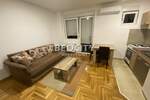 Dvosoban stan, Novi Sad, Bulevar Evrope, izdavanje, 38m2, 400e, id1415938