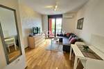 Jednosoban stan, Novi Sad, Socijalno, izdavanje, 26m2, 320e, id1415960