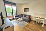 Jednosoban stan, Novi Sad, Socijalno, izdavanje, 26m2, 320e, id1415960