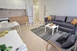 Jednosoban stan, Novi Sad, Centar, izdavanje, 28m2, 320e, id1415961