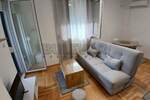 Jednoiposoban stan, Niš, Donja Vrežina, izdavanje, 35m2, 250e, id1415972