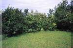 Kuca, Danilovgrad, prodaja, 52m2, 115000e, id1416483