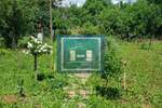 Kuca, Jagodina, prodaja, 21m2, 35000e, id1409268
