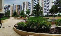 Dvosoban stan, Beograd, Saobraćajni fakultet, izdavanje, 55m2, 900e, id1416519