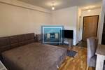 Jednosoban stan, Jagodina, izdavanje, 29m2, 250e, id1417093