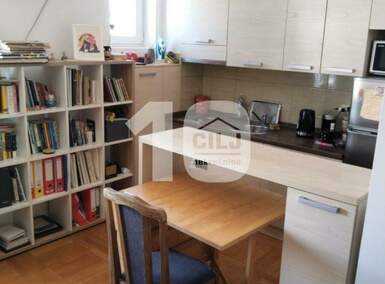 Garsonjera, Beograd, Lekino Brdo, izdavanje, 25m2, 400e, id1417784