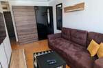 Jednoiposoban stan, Beograd, Dorćol, izdavanje, 40m2, 880e, id1418094