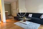 Dvosoban stan, Beograd, Dedinje, izdavanje, 65m2, 1000e, id1418618